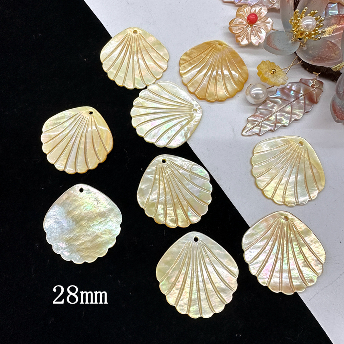 Pearl Necklace - 5Pcs Shell Beads With Hole Natural