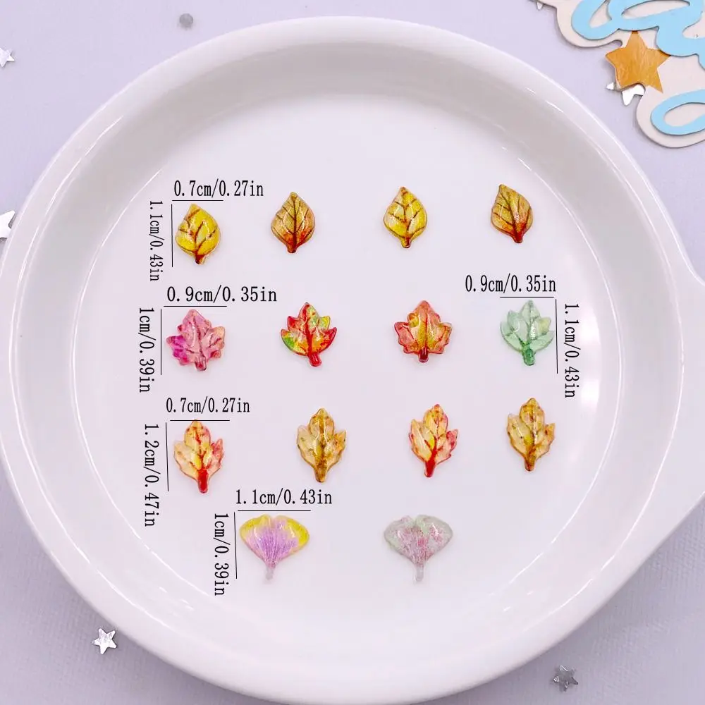50pcs Mixed Resin Mini Crystal - Paradise Jewelry & Watches Dolphin Mall のレビューと価格