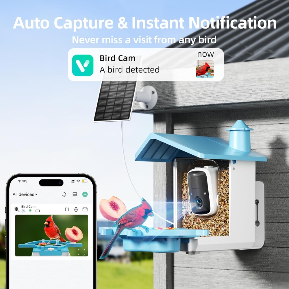 Bird Feeder with Camera for Ou - Watches & Jewelry Repair Center New York Reviews のレビューと価格